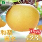 ショッピングふるさと納税 梨 ふるさと納税 三条市 先行受付 和梨 南水 約2.8kg 令和8年産 新潟県 三条市産 【010S497】