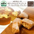 ★田野屋塩二郎完全天日塩★塩キャラメルのアマンディーヌ