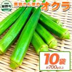 黒岩さん家のオクラ 10袋