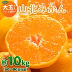 山北みかん 10kg