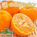 ポンカン 訳あり 5kg