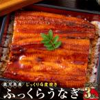 ふるさと納税 大崎町 うなぎ 蒲焼 170g×3尾【鹿児島産】地下水で育てた逸品鰻