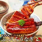 ふるさと納税 大崎町 うなぎ 蒲焼 200g×2尾【鹿児島産】地下水で育てた逸品鰻