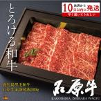 世界が絶賛した“とろける和牛”石原牛