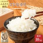 令和6年産 コシヒカリ精米10kg 1袋