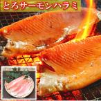ふるさと納税 根室市 とろサーモンハラミ1.2kg G-09006