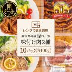 ふるさと納税 南さつま市 【レンジで簡単】鹿児島県産豚ロース 味付け肉 2種 10食 (蒲焼き風・レモンペッパー味 各5P)