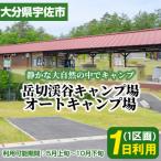岳切渓谷キャンプ場 オートキャンプ場1日利用