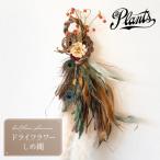 The Plants オリジナル しめ縄 正月