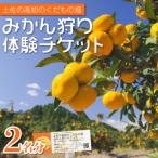みかん狩り体験チケット 4名分 10月中旬~12月中旬頃