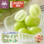 ふるさと納税 甲府市 〈2025年度配送分〉シャインマスカット2kg(3~5房)