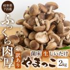 ふるさと納税 下呂市 訳あり 不揃い【期間限定】菌床生椎茸　詰め合わせ 2kg(大・小・形 混合)【71-6】
