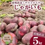 じゃがいも 5kg