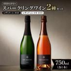 スパークリングワイン2本セット _Y090-0017