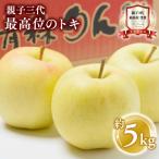 ふるさと納税 平川市 【10月発送】親子三代最高位のトキ約5kg【全国ふじコンテスト最高賞受賞農園・平川市広船産りんご】