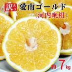訳あり 愛南ゴールド 河内晩柑 7kg