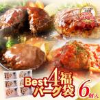 ふるさと納税 福智町 Best4 ハンバーグ 6個セット