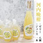 ばんかんじゅーす1本 ばんかんぜりー8個セット