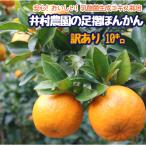 だけど じゃない 訳あり 足摺ぽんかん 10kg