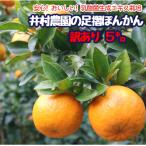 だけど じゃない 訳あり 足摺ぽんかん 5kg