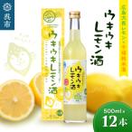 ウキウキレモン酒500ml 1ケース12本