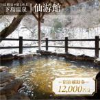 下島温泉 宿泊補助券 12,000円分