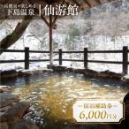 下島温泉 宿泊補助券 6,000円分