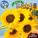 ひまわり切花20本入り 黄色 オレンジ 計20本