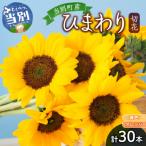 ひまわり切花30本入り 黄色 オレンジ 計30本