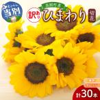 ひまわり切花30本入り 黄色 オレンジ 計30本