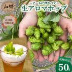 生ホップ ~ビールに浮かべて~ 50g