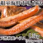 ふるさと納税 根室市 甘汐天然秋鮭ハラス500g×3P(計1.5kg) G-28043