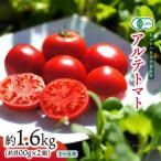 〉アルテトマト 約1.6kg