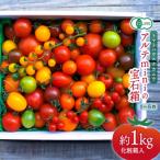 〉アルテminiの宝石箱 約1kg×1箱