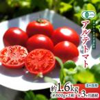 〈2027年1月~発送〉アルテトマト 約1.6kg
