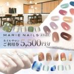 体験チケット ネイルサロン MARIE NAILS