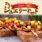 まるでトマトの宝石箱 フルーツジュエリートマト約1.6kg
