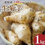 菊芋 1kg