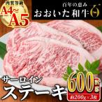 ふるさと納税 佐伯市 おおいた和牛 サーロイン ステーキ (計600g・200g×3枚)