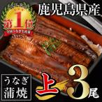 ふるさと納税 曽於市 無投薬!うなぎ蒲焼セット(上・約140g以上×3尾 計420g以上)