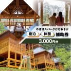 宿泊券 ペンション コテージのほほんパークひだおさか