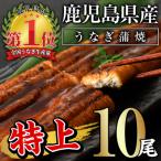ふるさと納税 曽於市 無投薬!鹿児島県産うなぎ蒲焼セット <特上>(約160g以上×10尾)タレ・山椒付き