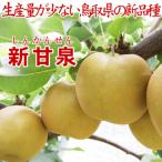 ふるさと納税 鳥取市 鳥取県産 新甘泉5kg 訳あり【フォーシーズン】