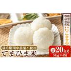 K-198-D 令和7年産 てまひま米 品種:にこまる 計20kg
