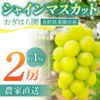 ふるさと納税 東御市 【先行受付2026年発送】農家直送!朝採れシャインマスカット2房(約1kg)|おぎはら園