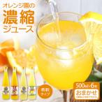 オレンジ園の濃縮ジュース 500ml