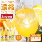 オレンジ園の濃縮ジュース おまかせ6本入 500ml