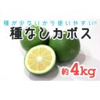 種が少ないから使いやすい 佐々木さんの