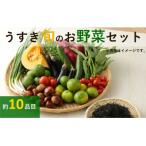 野菜ソムリエがセレクト うすき旬のお野菜セット