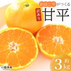 ショッピング甘平 ふるさと納税 西予市 【先行受付】<訳あり おはこやがつくる 甘平 約3kg> ワケアリ 家庭用 果物